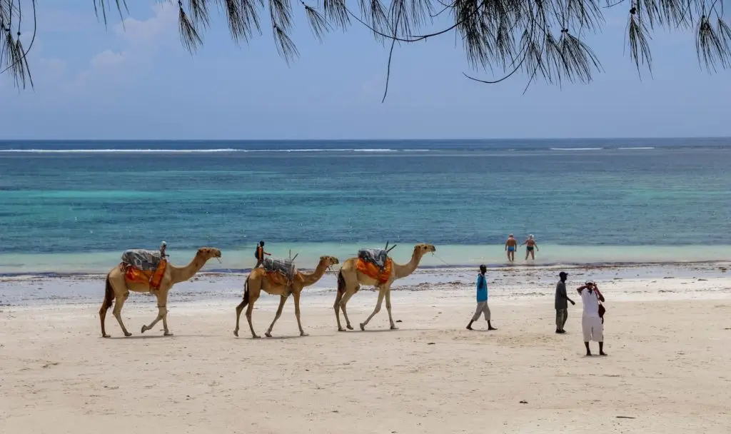 Beaches in Kenya - AjKenyaSafaris.com