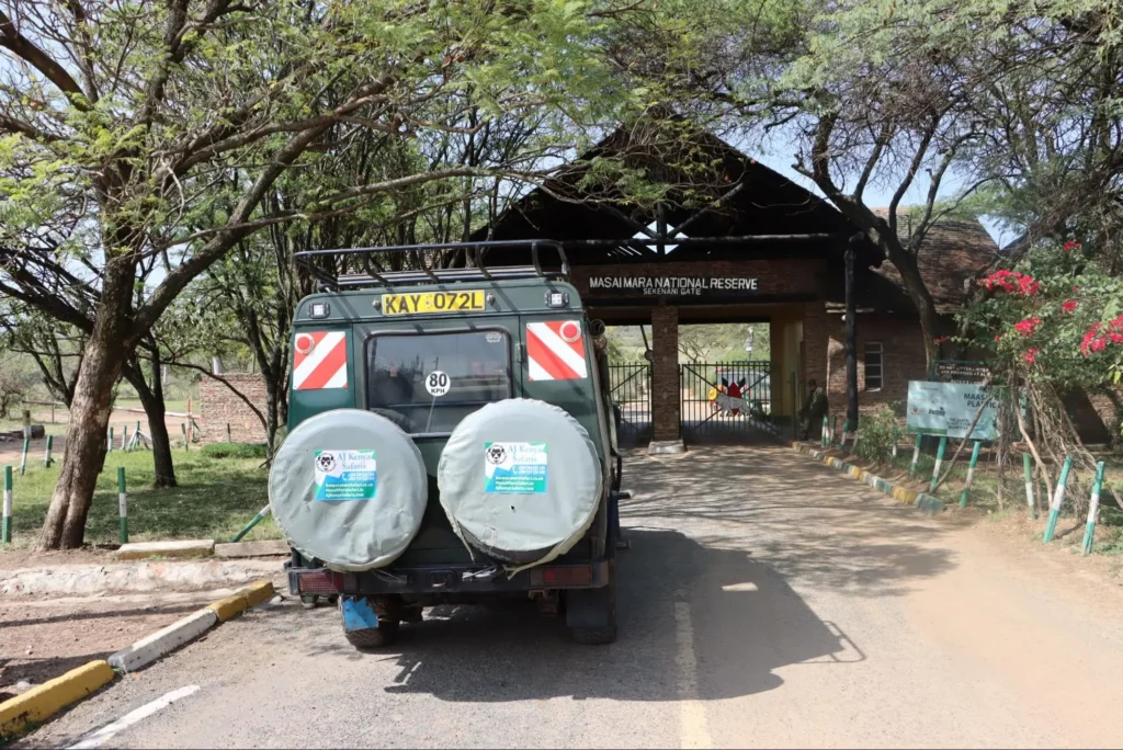 Best time to visit Masai Mara - AjKenyaSafaris.com