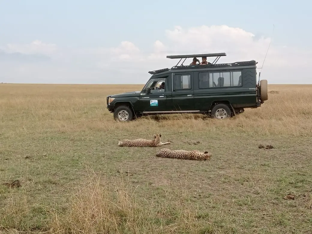 safari masai mara precio