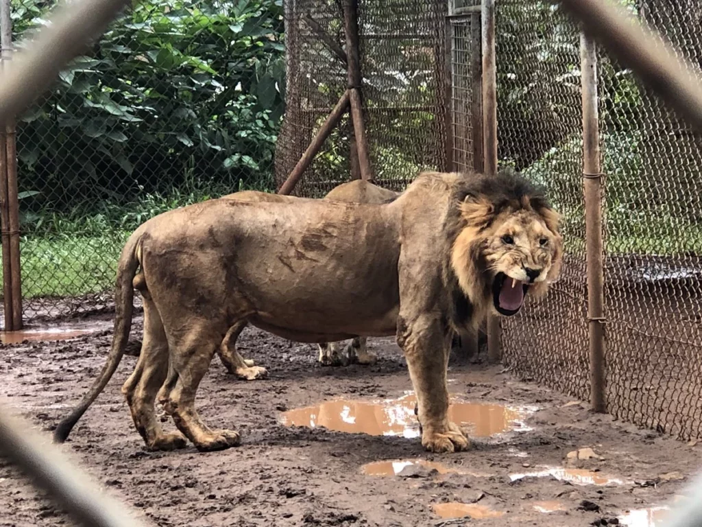 Nairobi Day Tours - AjKenyaSafaris.com