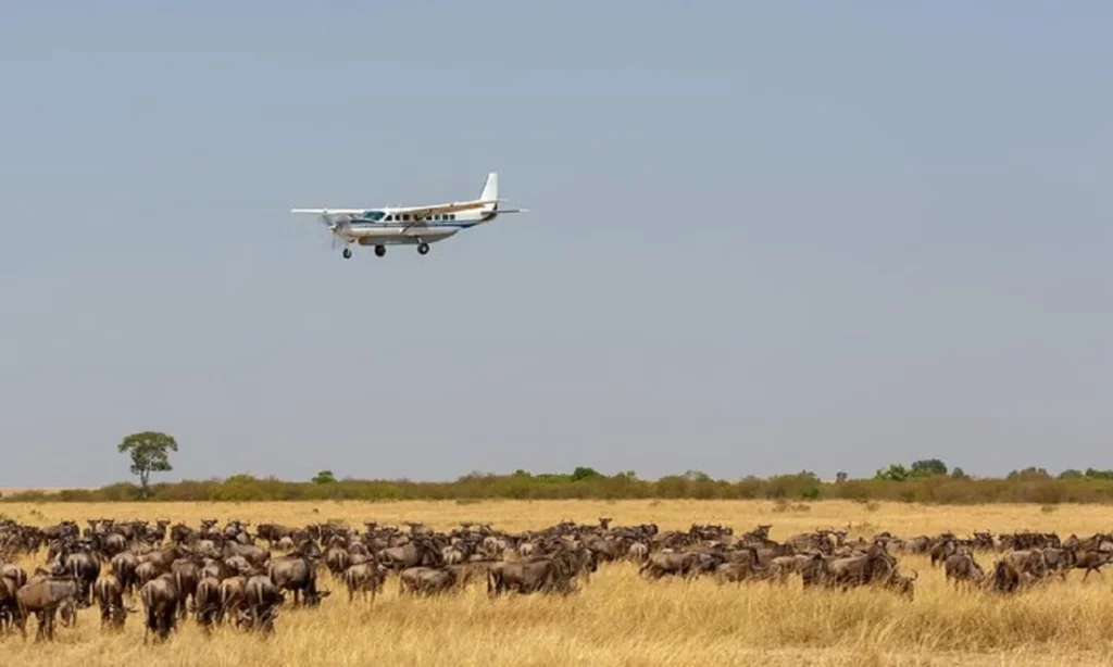 Masai Mara Flight Packages - AjKenyaSafaris.com