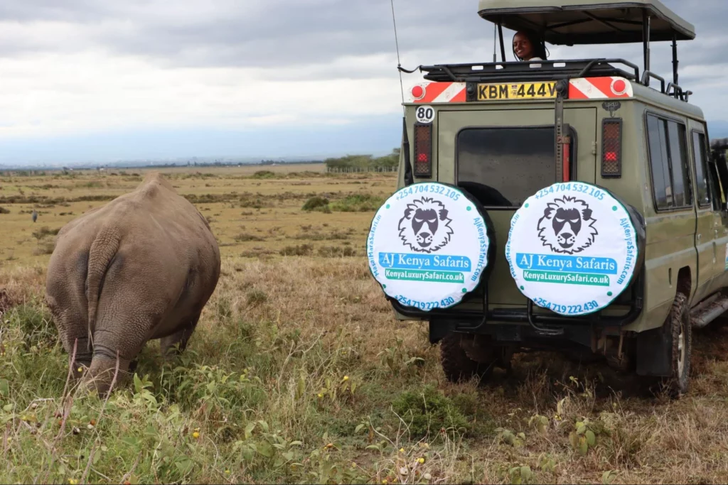 Kenya safari blog - tours