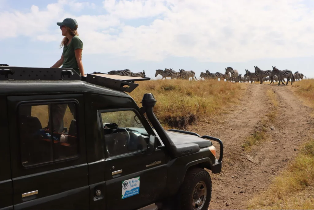 Enjoying game drives at Masai Mara - Masai Mara safari packages for residents