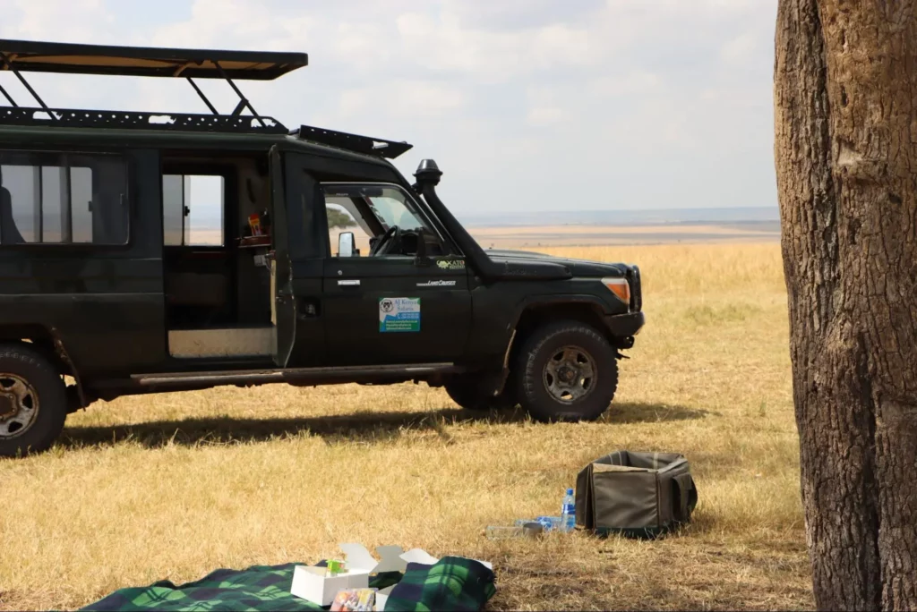 Christmas Vacation Packages - Masai Mara