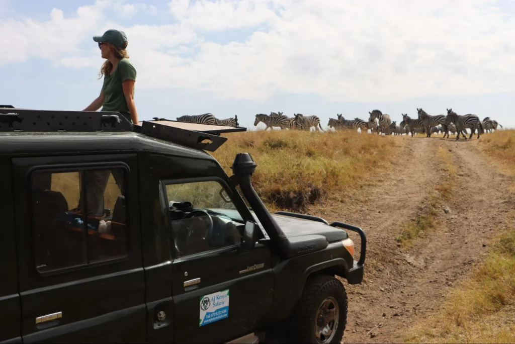 Kenya Wildebeest Migration - AjKenyaSafari.com