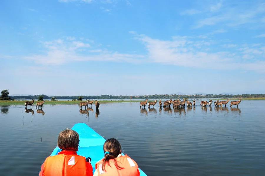 Kenya vacation holidays - Lake Naivasha