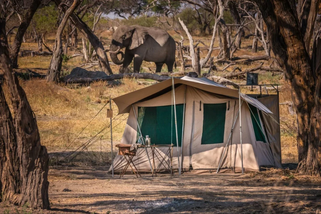 Camping Safaris Holidays, Africa, Mobile Camps, Fly Camping and Sleep-outs