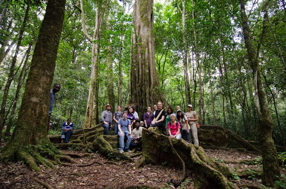 Kakamega National Reserve - photo