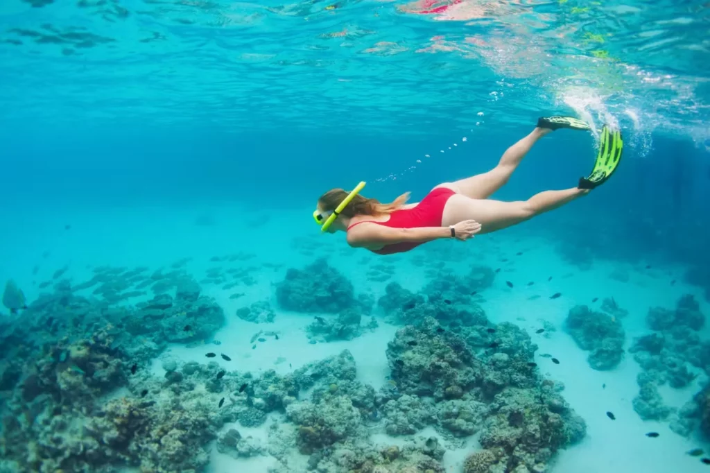 snorkeling at Diani beach