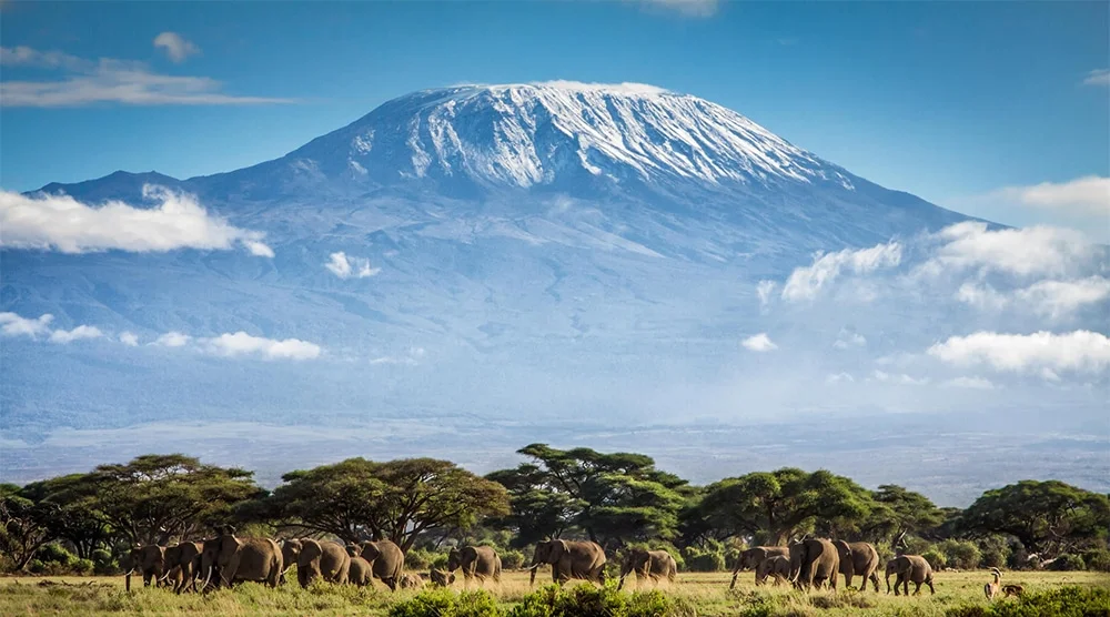 climbing mount kilimanjaro - ajkenyasafaris.com