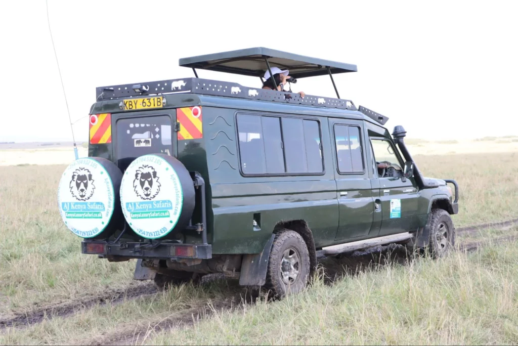 Masai Mara Safari Tour - AjKenyaSafaris.com