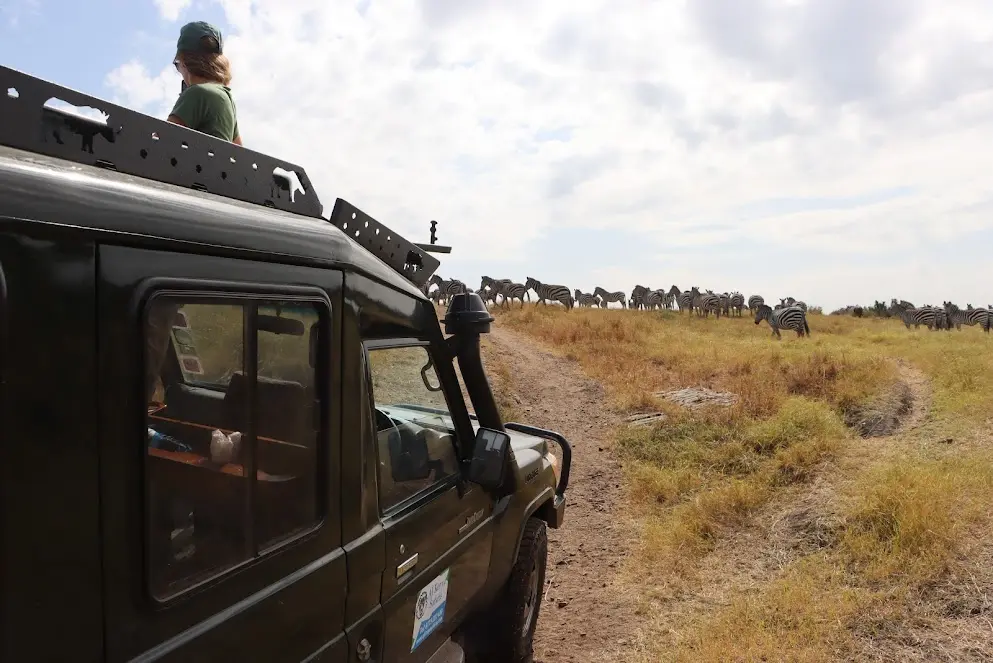 Masai Mara Wildebeest Migration Hotels - AjKenyaSafaris