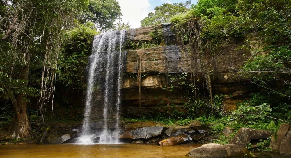 Shimba Hills National Reserve - Waterfall