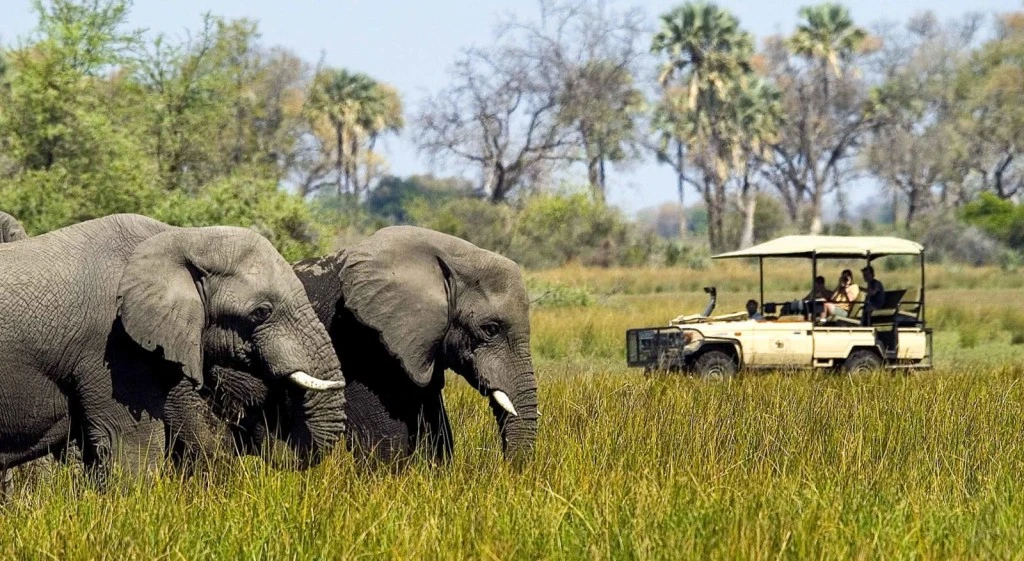 South Africa Safari Tour - AjKenyaSafaris.com