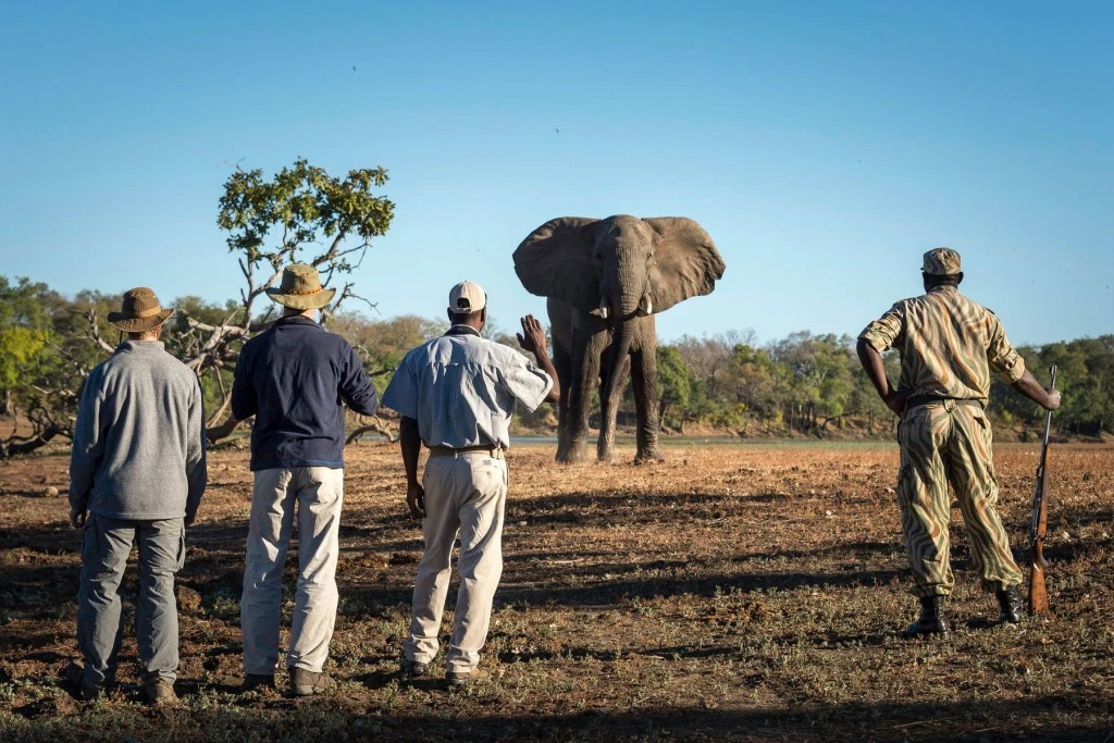 Kenya Walking Safaris - Walking Safari in Kenya