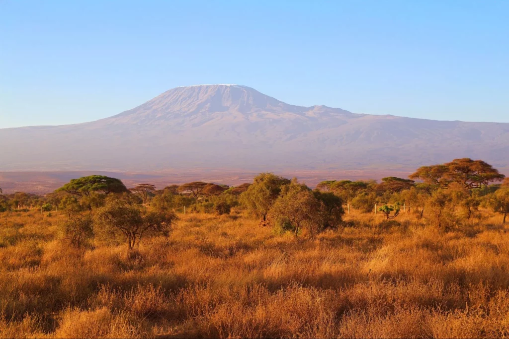 A view of mount kilimanjaro from Amboseli