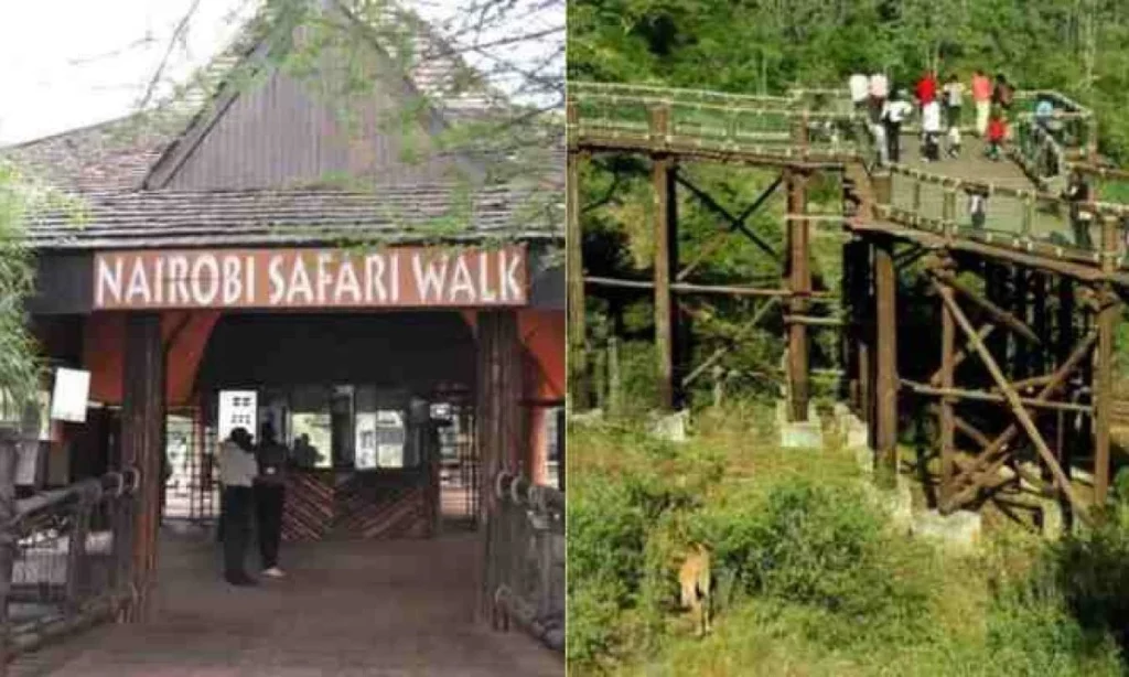 Nairobi safari walk