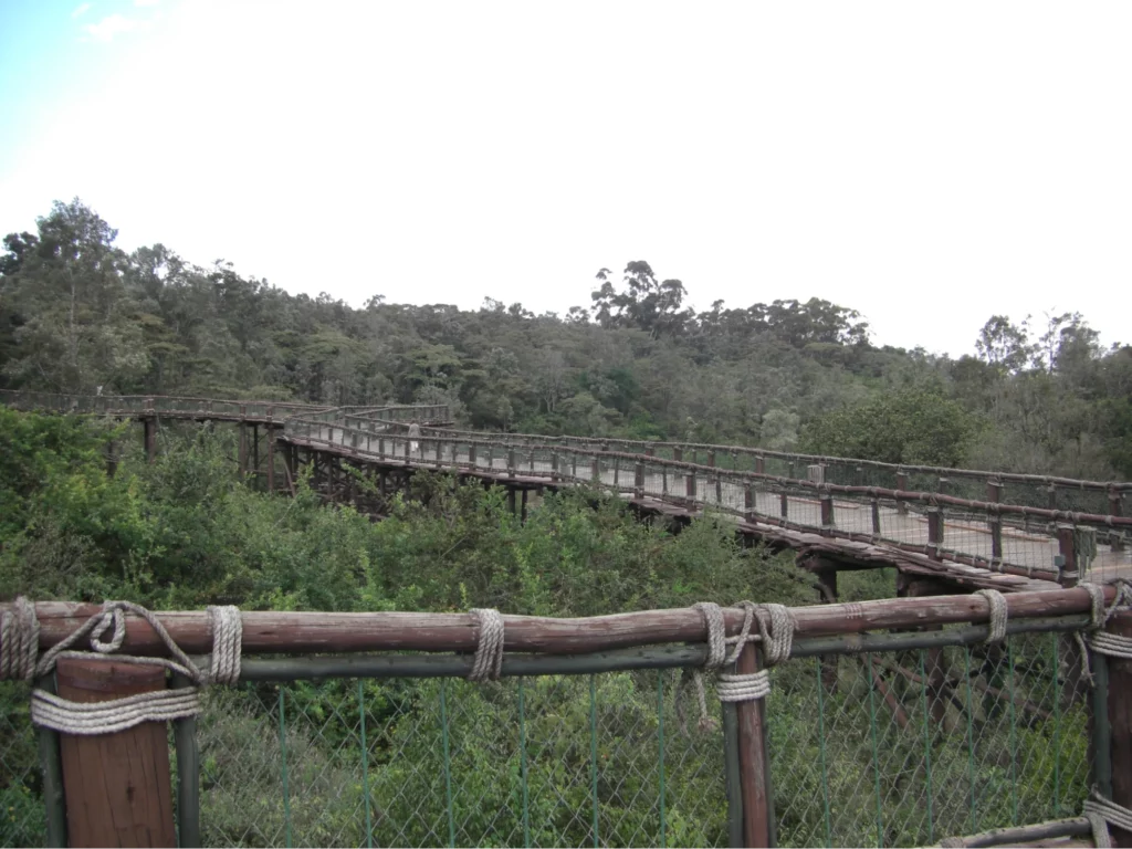 Nairobi safari walk