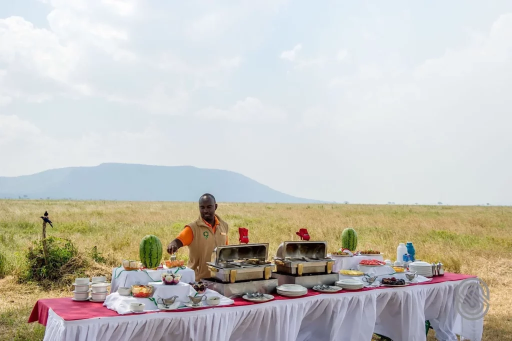 serengeti national park - bush meals