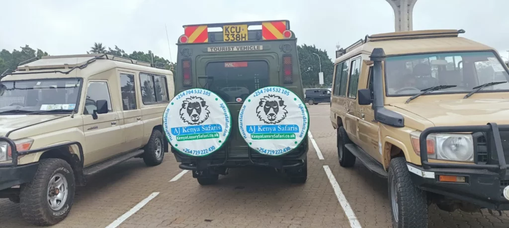 Nairobi National Park day tour - client pickup