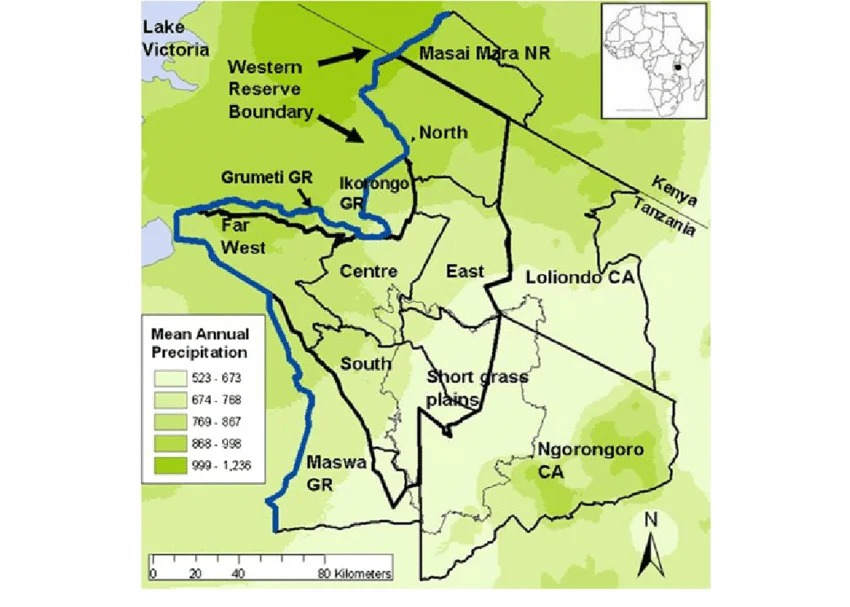 Parts of serengeti