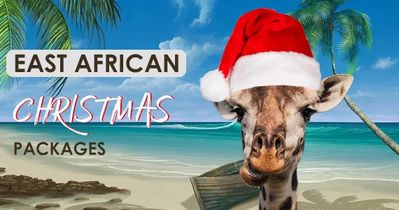 7-Day Kenya Christmas Safari