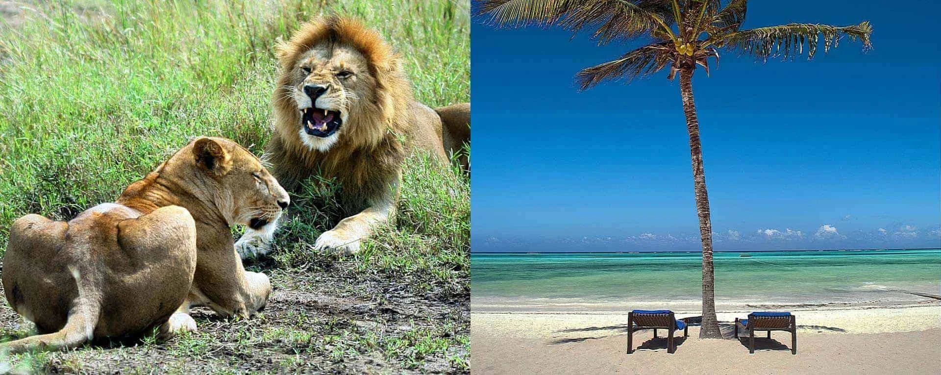 12-Day Kenya Wildlife & Beach Safari