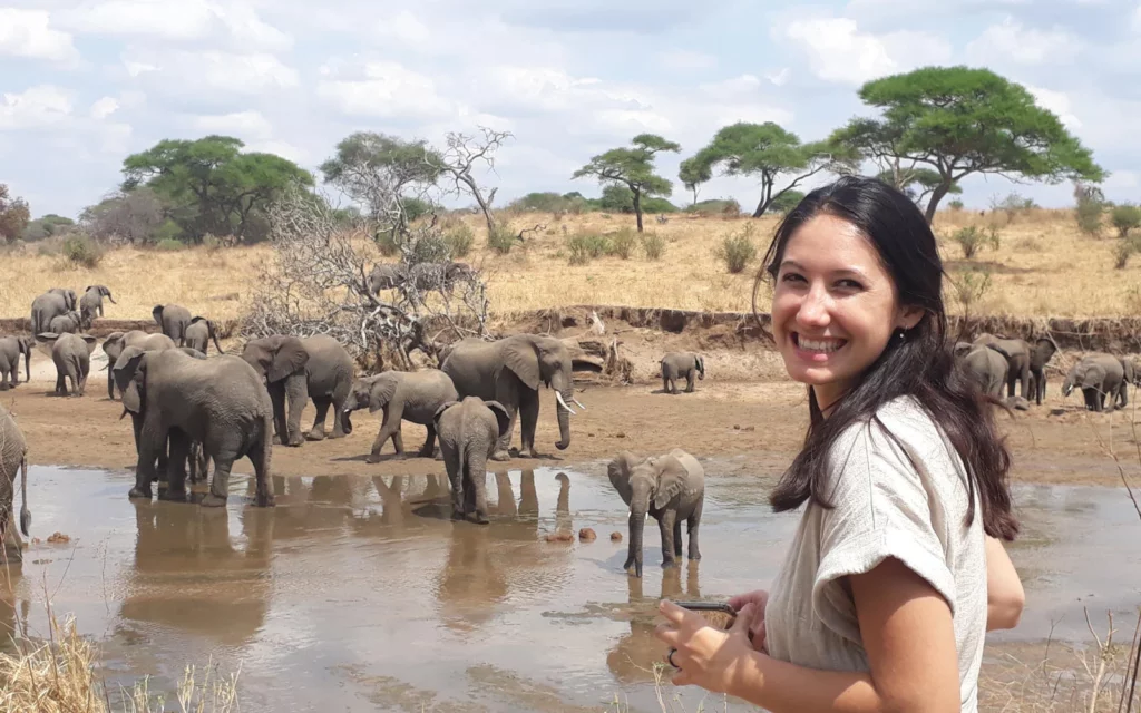 Elephants at Tanzania