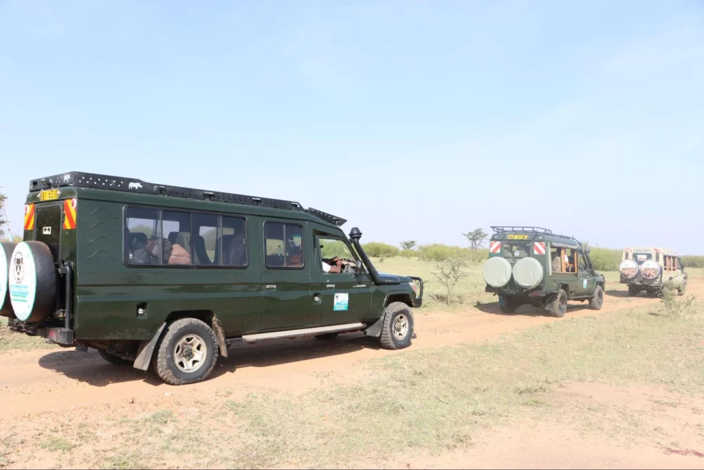 Kenya safaris tours - ajkenyasafaris.com