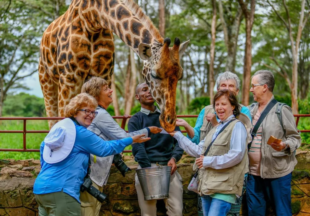 Seniors safari in Kenya - giraffe center