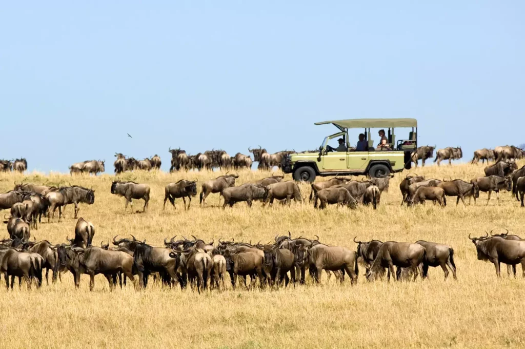 Migration safari in Tanzania