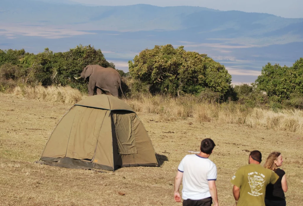 Camping Safari Kenya - AjKenyaSafaris.com