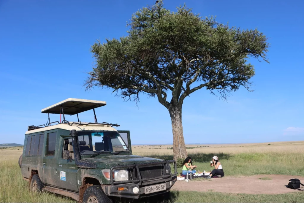 Enjoying a picnic lunch during the three days tour of Masai Mara