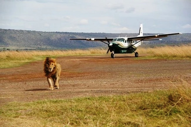 2-Day Masai Mara Safari