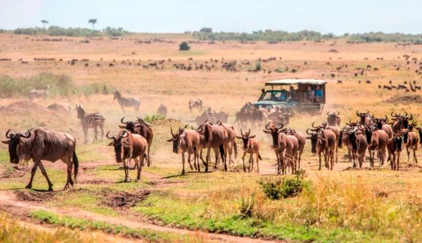 masai mars