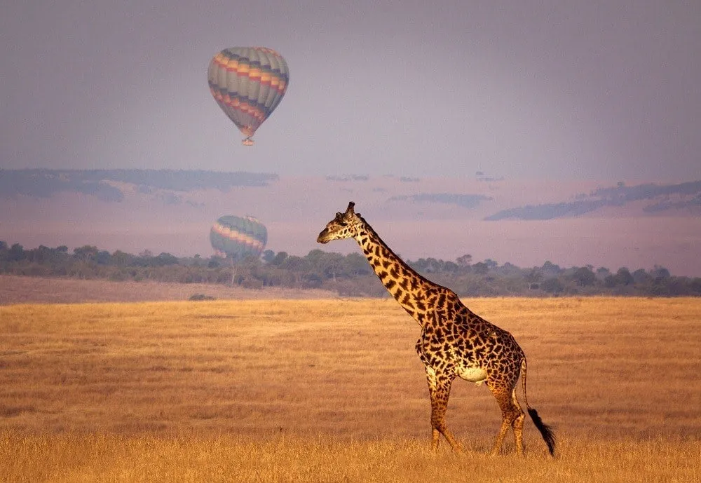 masai mara packages