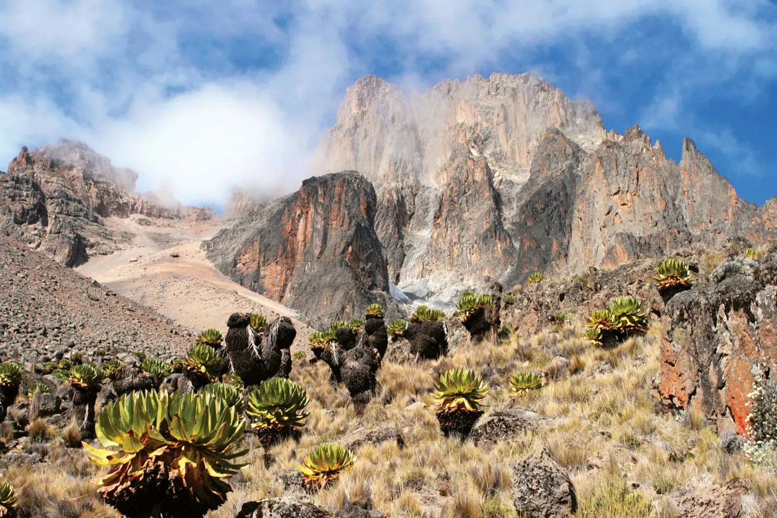 Tourist circuits in Kenya - mount kenya