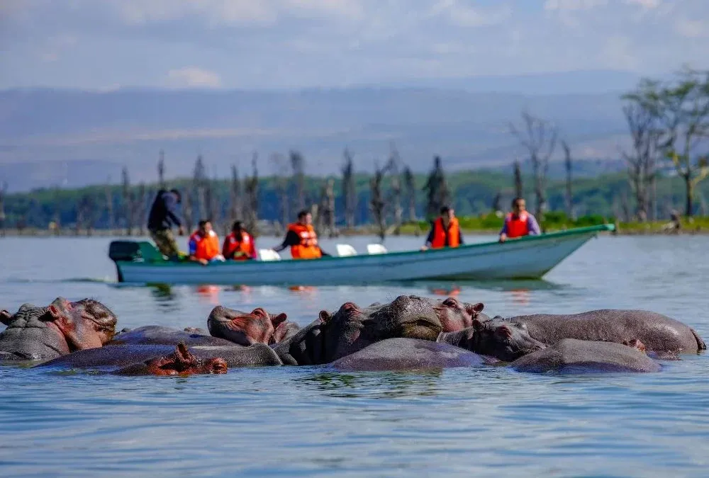 Tourist circuits in Kenya - boat ride