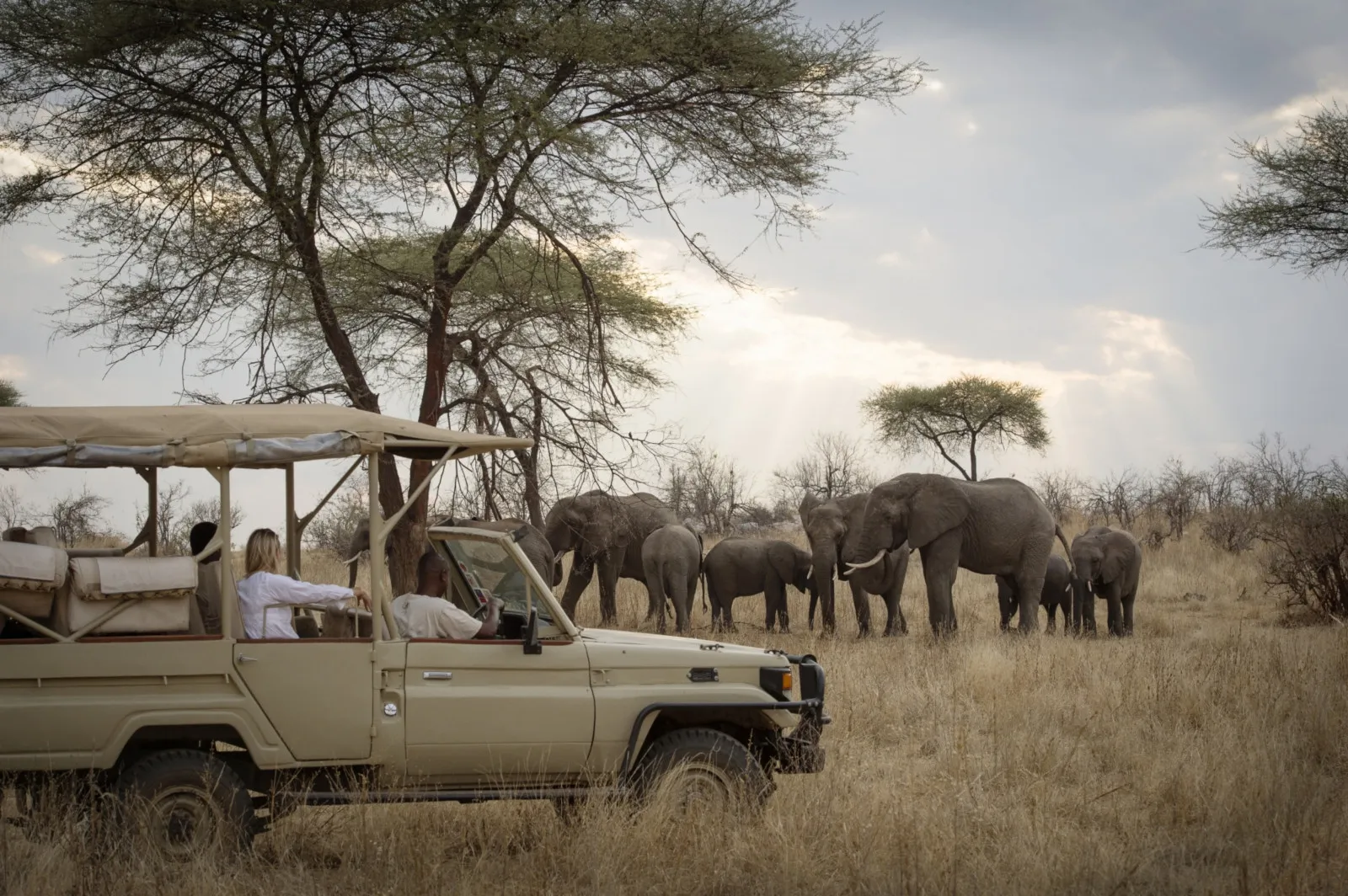 Game drives during a kenya safari