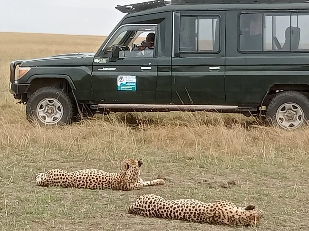 Masai Mara safari - akenyasafari vehicle