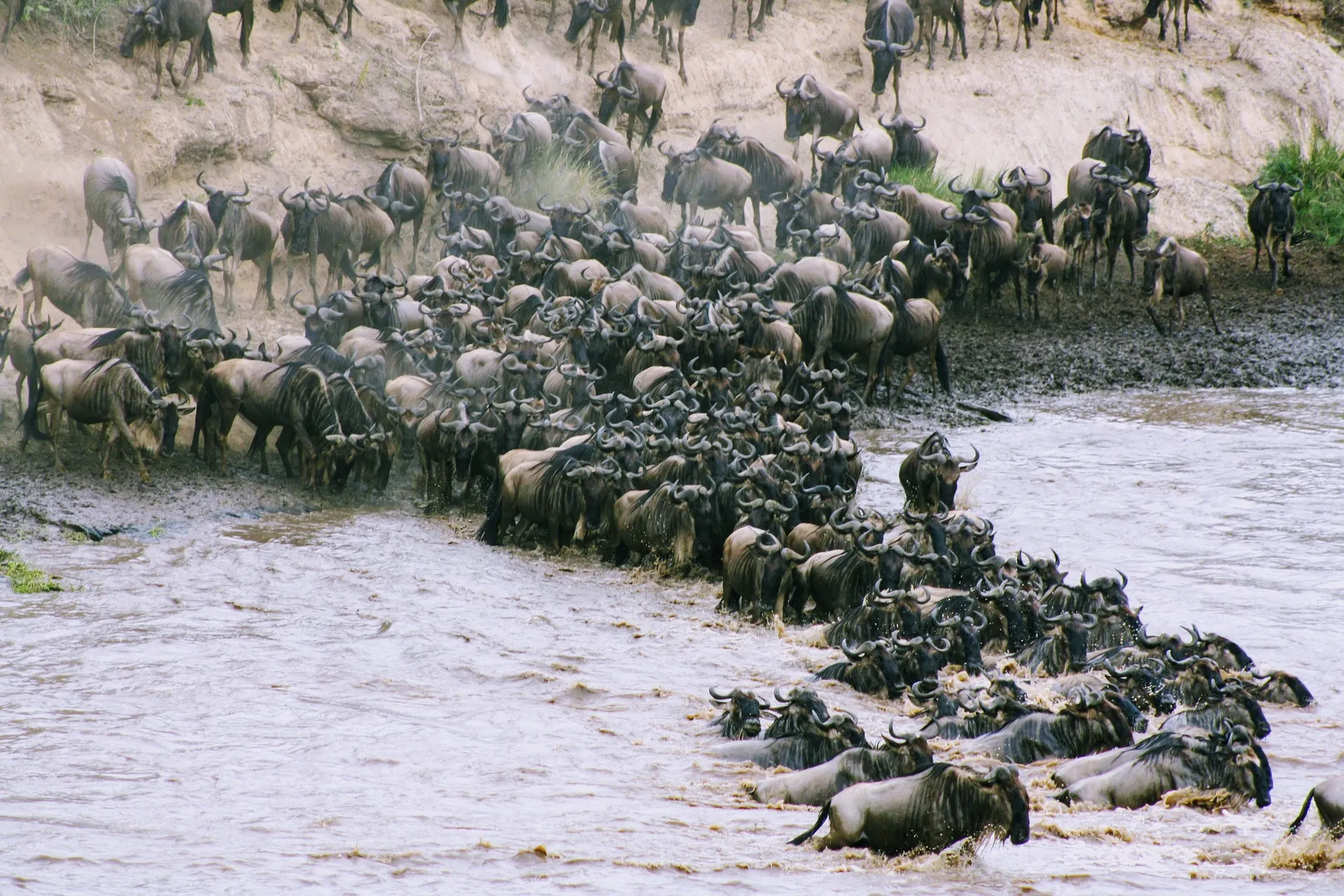 Luxury Safari In Kenya