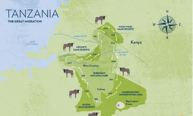 Great Migration in kenya and tanzania