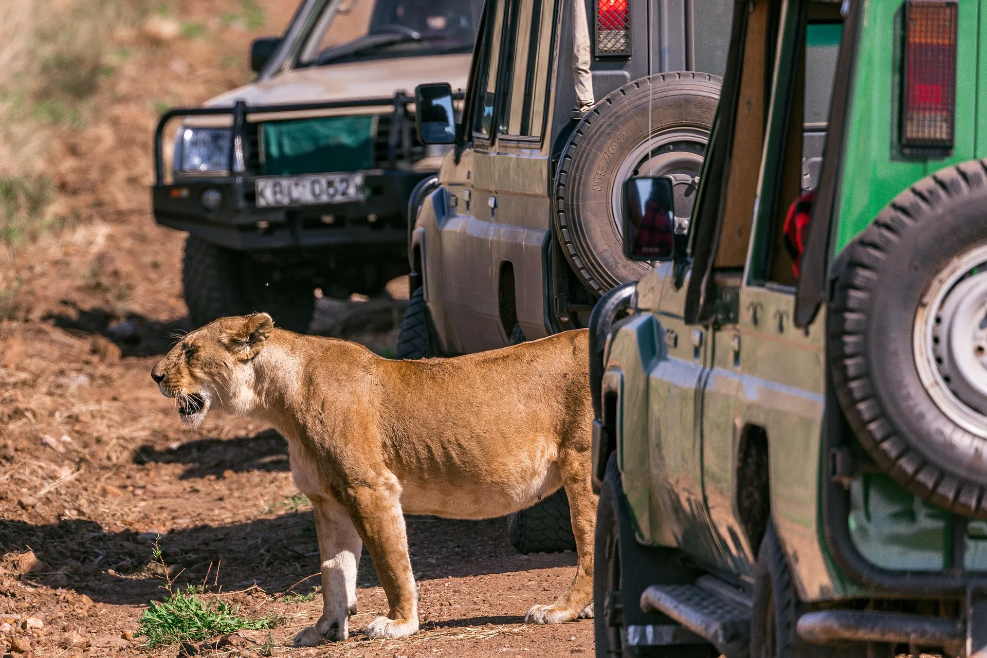 Nairobi Safari Packages