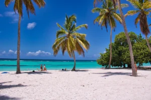 safari from diani beach - view of diani