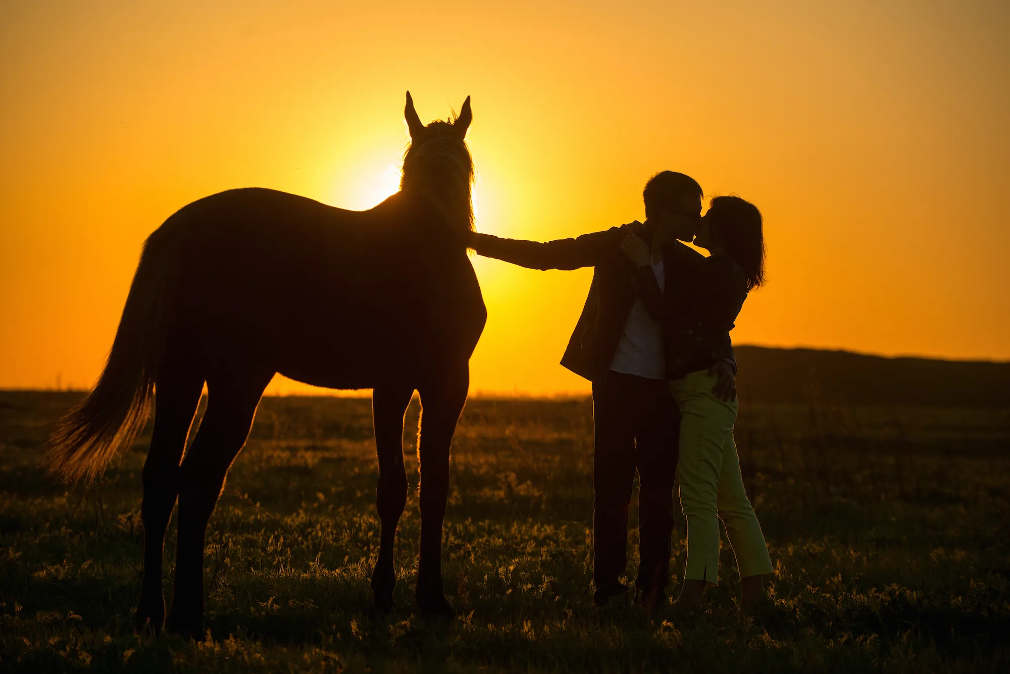 best places for honeymoon in kenya - horse