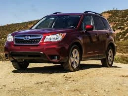 Subaru Forester for Hire