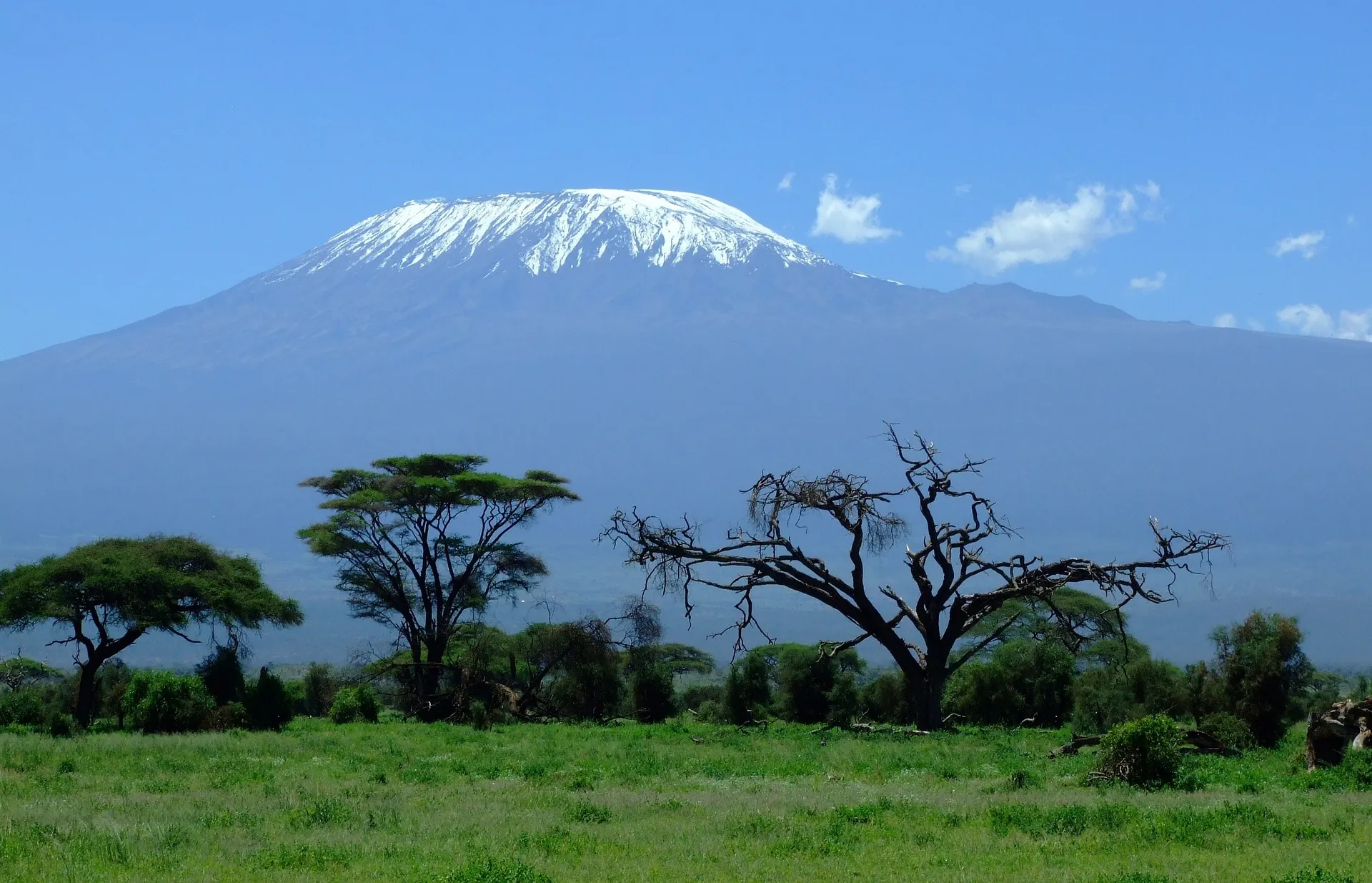 Mount Kilimanjaro view