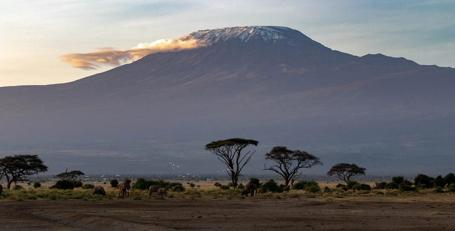 great view of kilimanjaro