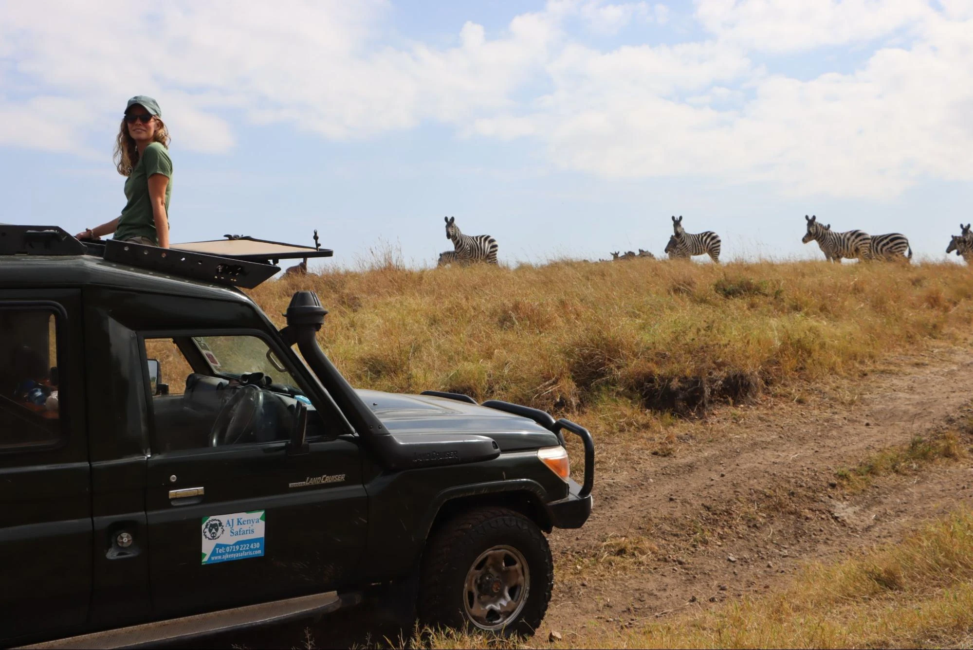 enjoying the migration - zebras