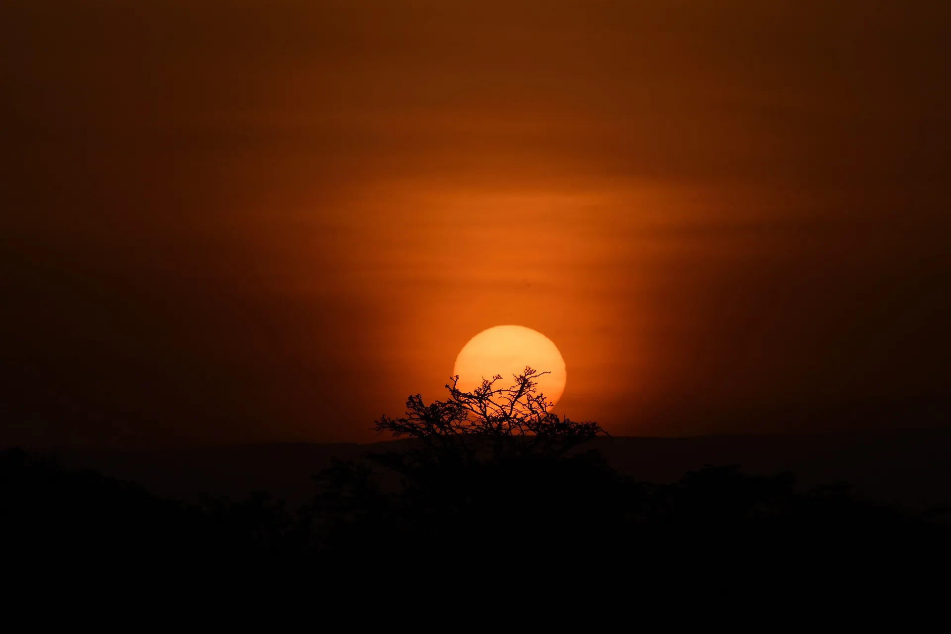 Sunset at Masai Mara